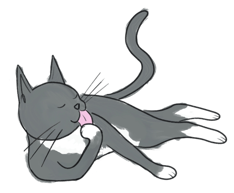 Zoetrope Example Animation