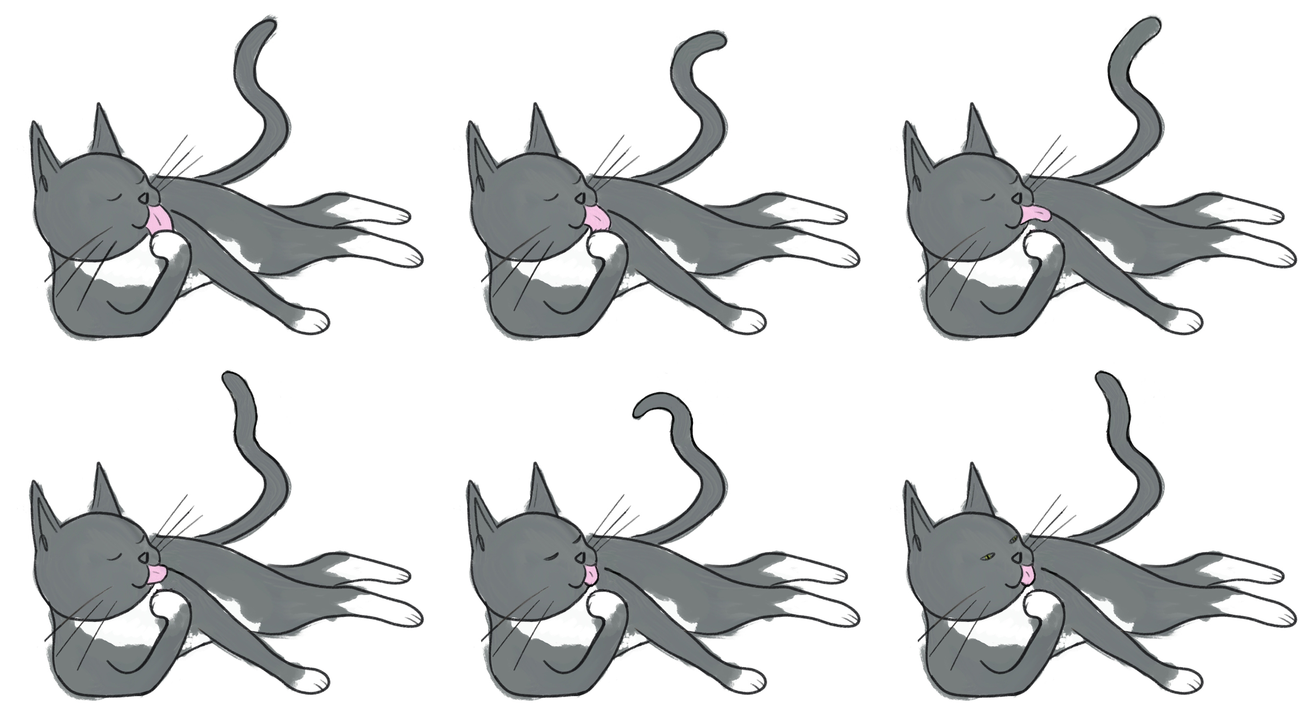 Zoetrope Example Frames of a Cat